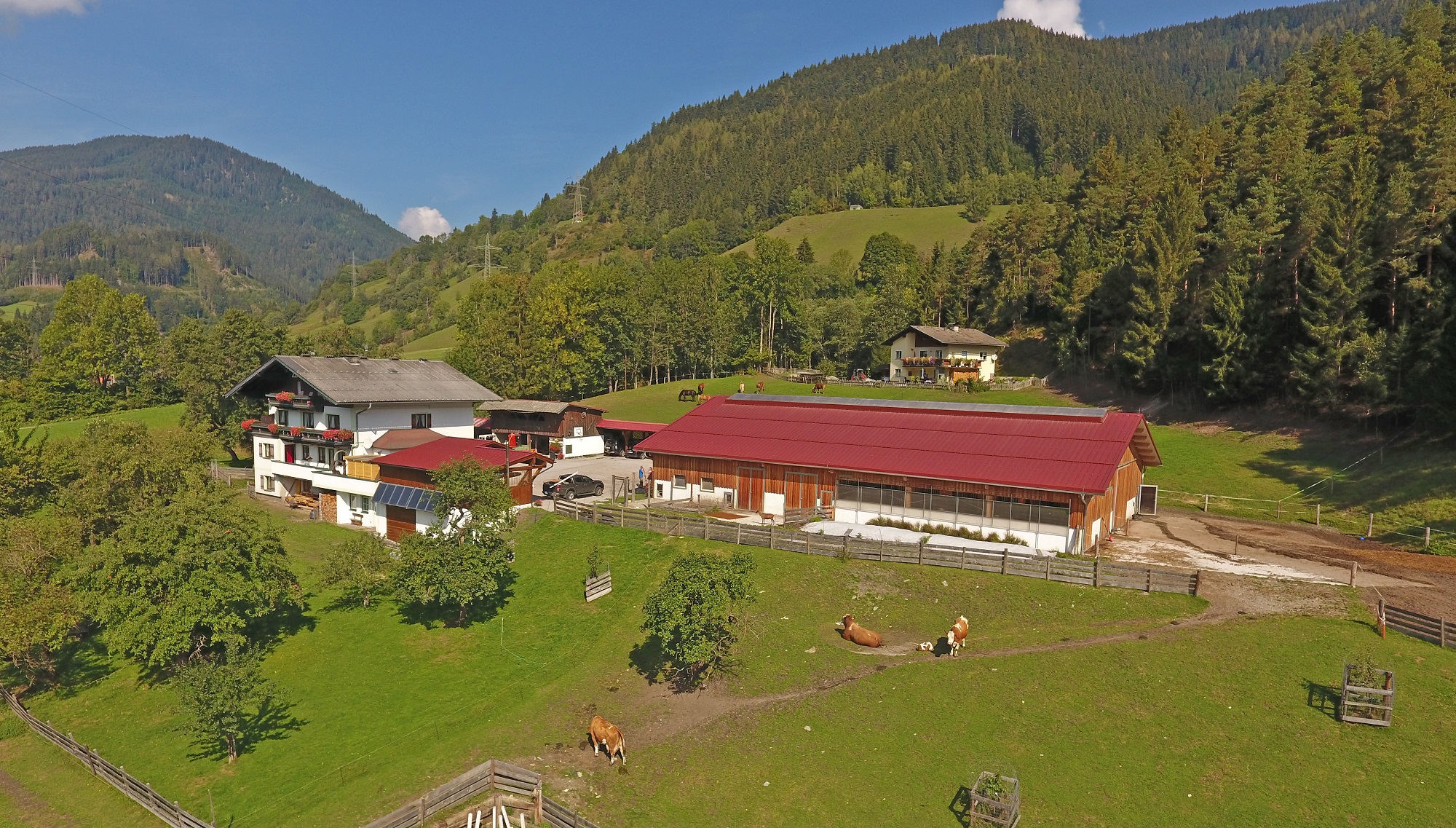 Urlaub am Bio-Bauernhof Saumerhof in Mandling, Schladming